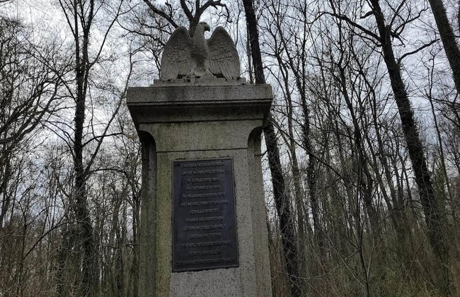 Reihenhaus in Lubben an der Spree - Foto 33