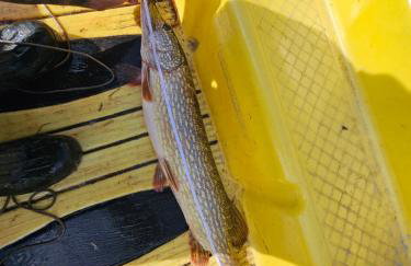 Gościniec Wędkarski Sieja - Foto 34