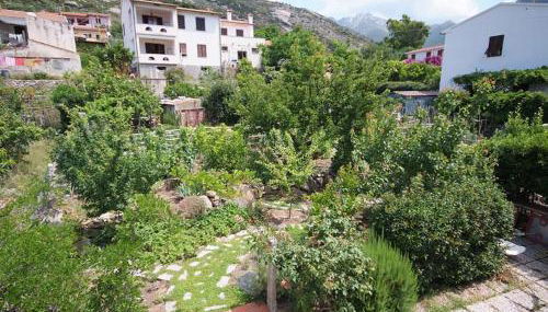 Casa degli Agrumi - Foto 5, Garden, Garden view