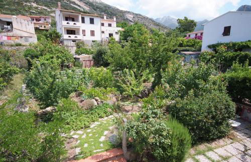 Casa degli Agrumi - Foto 5