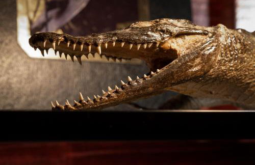 Beautiful Loft 130m2 Sun and free parking - Foto 35