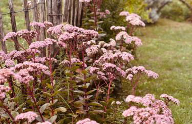 Cascina Burroni - Foto 9