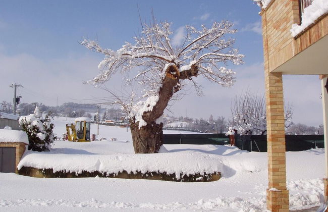 Agriturismo Le Bucoliche - Foto 59