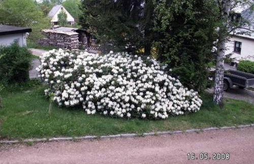 Ferienhaus Ferien am Waldrand - Foto 15