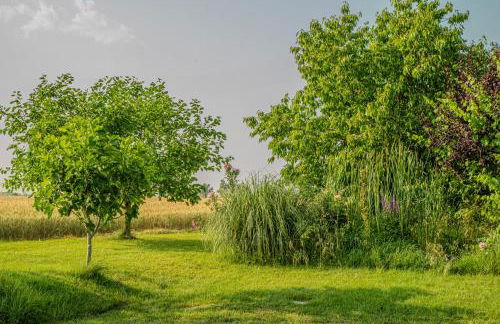 Il Laghetto 2 - Photo 30