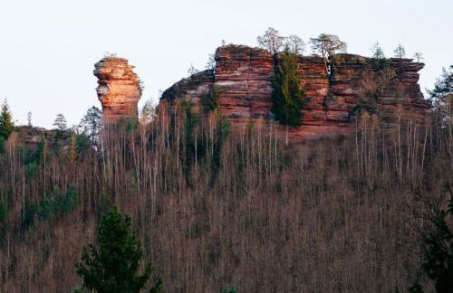 Ferienwohnung Weitblick im Dahner Felsenland - Foto 43
