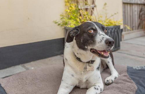 2 Bed in Chideock oc-g32451 - Photo 7