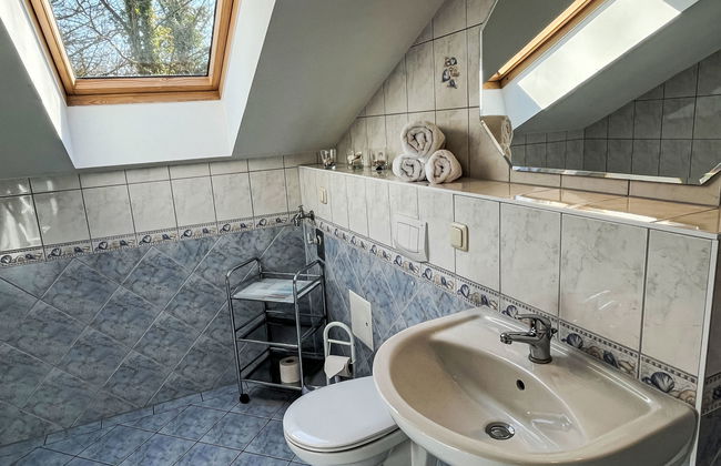 Zaunkönig - Foto 22