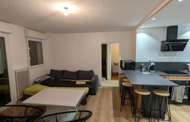 Appartement T3 - Relax aux portes des 24h du Mans - Foto 6