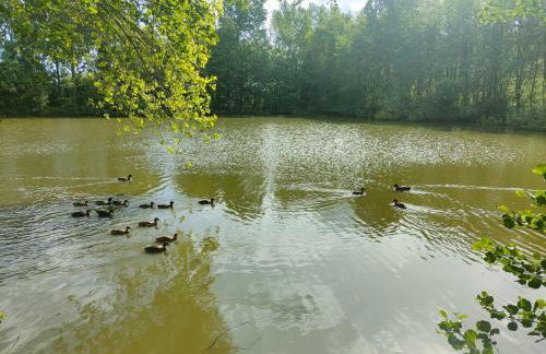 Le cottage des rives de l'Aa labélisé 3 étoiles - Foto 13