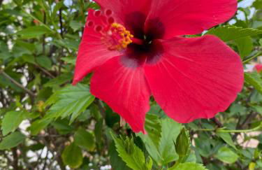 Sa Rapita Beach House - Foto 14