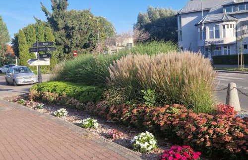 Nowodworski - Foto 52