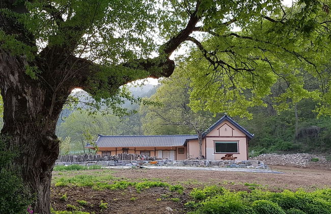 Moonlight House - Photo 1