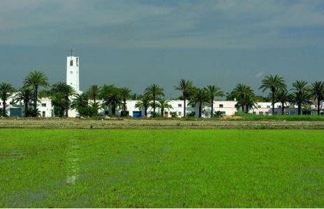 Lo Trabucador Casa nueva en el corazón del Delta - Foto 73