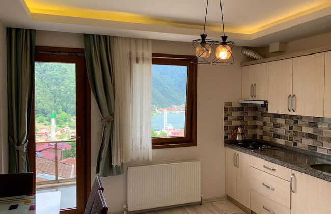 Auga Apart - Foto 19