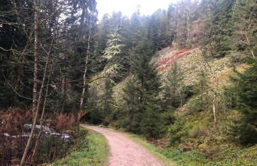 Chalet Au fil de l'eau - Foto 16