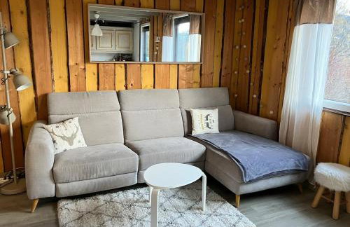 Cozy chalet in the Vosges with scenic views - Foto 12