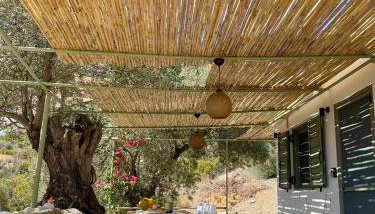 Metohi Luxury Home - Foto 4, Garden, Garden view