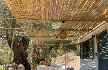 Metohi Luxury Home - Foto 4