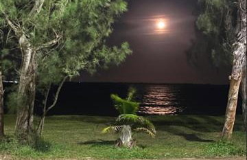 Pé na Areia Beach House - Foto 62