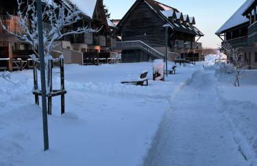 Super Besse chez Sophie 2ch, séjour, wifi, 2tv, rdc, terrasse, parc, piscine, pkg - Foto 5