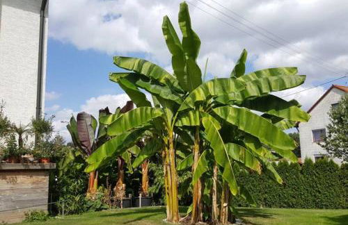 Ferienwohnung Wiesental 89331 Burgau, Wiesentalstrasse 1 - Foto 13