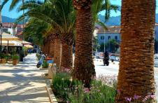 Apartman Ana Lotre - Photo 1