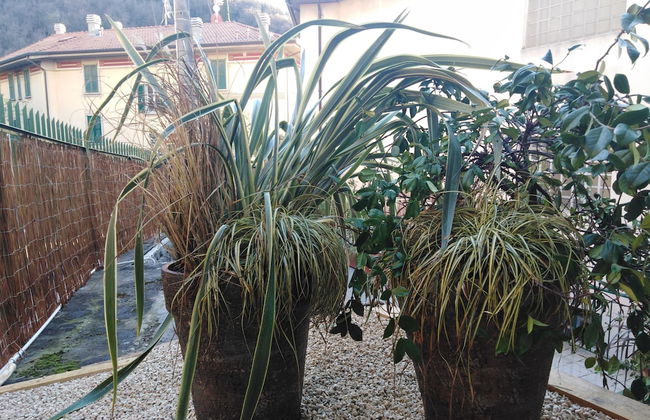 Varenna Sweet Home - Photo 23