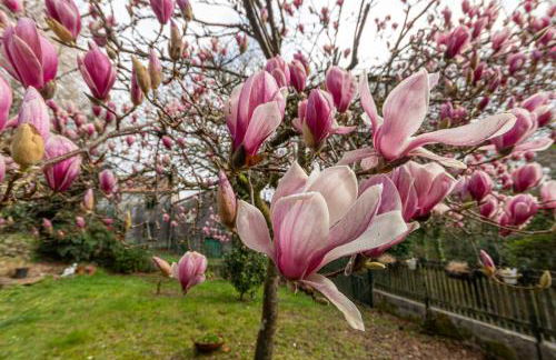 Casa das Regueiras - Photo 33