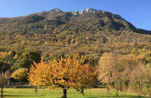 Agriturismo Cervano - Foto 68