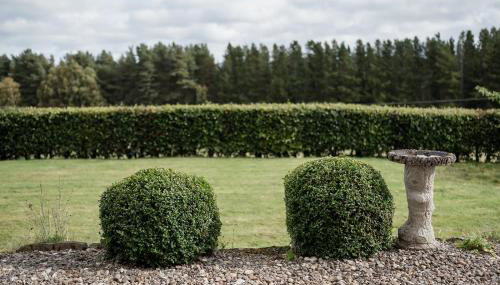 The Larches - Foto 2