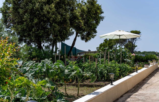 Holiday Home Ivana - Foto 32