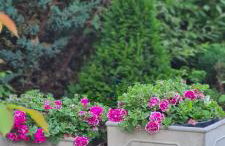 Sowi Dworek - Foto 15