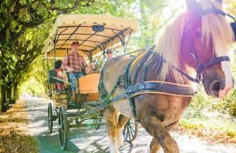 85 l idéal , quiet charm in Tours - Foto 17