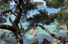 Moderne Luxusvilla Mali Dvor mit Pool 500m am Meer in Porec - Foto 26