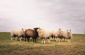 Kalle´s Reethus - Foto 25