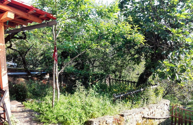 Retiro de Gondramaz - Photo 23