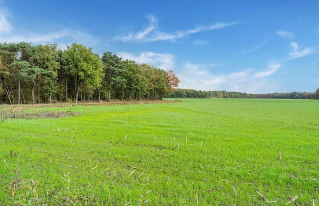 Tranquil Goirle Countryside Home - Photo 33