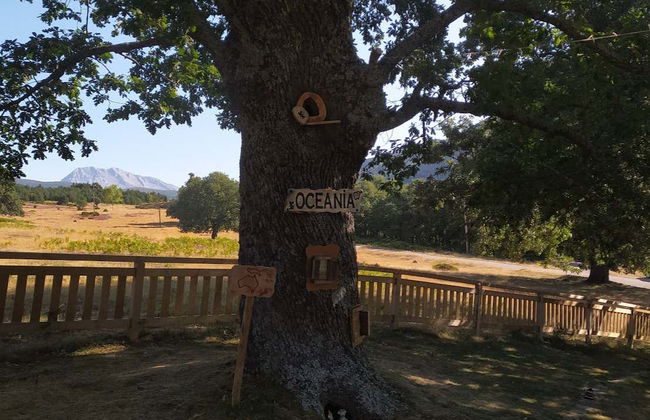 Entrada para la Ruta del Ratoncito Pérez - Foto 8