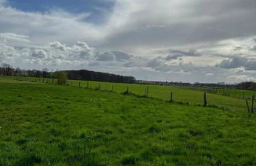 große und luxuriöse Ferienwohnung für max 8 Gäste - Foto 50