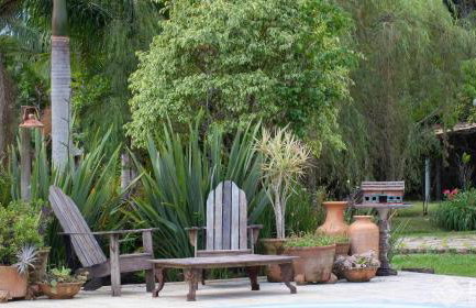 Vieja Hacienda - Photo 3