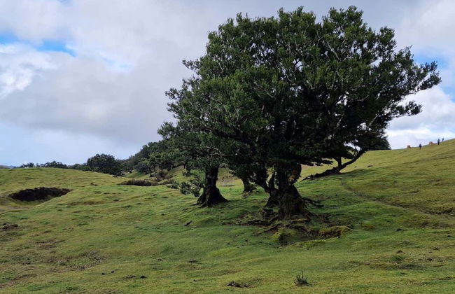 Visite panoramique de l'ouest de Madère - Photo 5