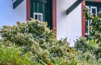 Valle Paraizo - Foto 54