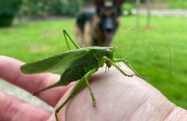 Charaktervolle Whg mit Parkplatz nähe Kassel - Foto 37