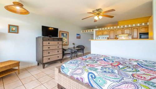 Oceanview Moloka'i Studio - Foto 5