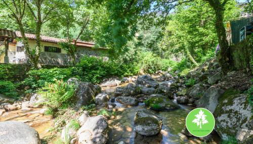 Estúdio R&M - Gerês - Foto 4