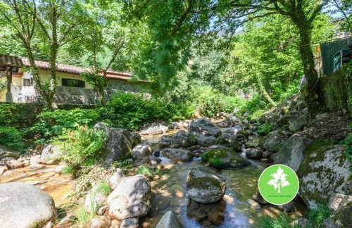 Estúdio R&M - Gerês - Foto 4