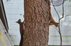 Exotic Tropical Palace - ComfyHome Apartments Stuttgart - Foto 75