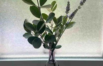 Stunning Hollywood Midcentury Modern-Views-Best Location! - Foto 43