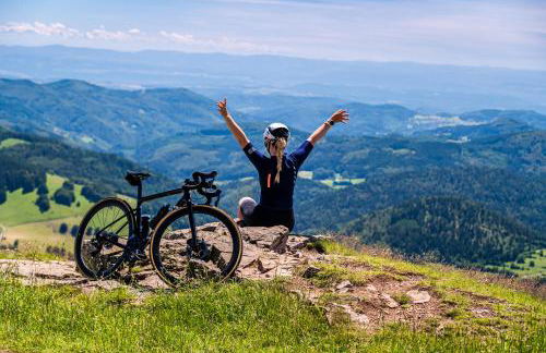Gästehaus Seewald- Ferienwohnung 3 "Tanne", Schluchsee, Blasiwald - Foto 27